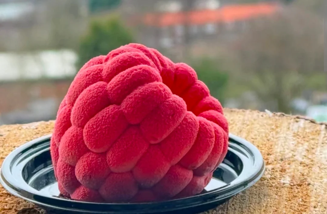 A raspberry-shaped entremets on a black plate against soft window light — a hand-crafted illusion cake by Alchemy Bakery